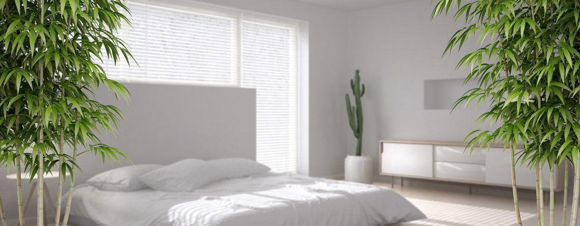 Minimalist Feng Shui: Simplifying Spaces to Maximize Energy Flow