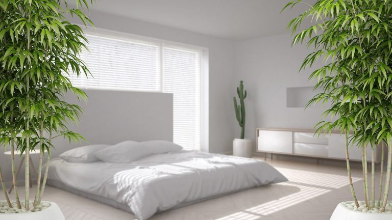 Minimalist Feng Shui: Simplifying Spaces to Maximize Energy Flow